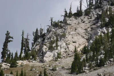 DSC_3140 (Large).JPG